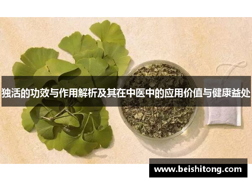 独活的功效与作用解析及其在中医中的应用价值与健康益处 独活的功效与作用解析及其在中医中的应用价值与健康益处